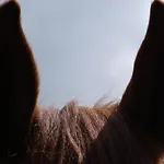 Luzenberg 호텔 3*