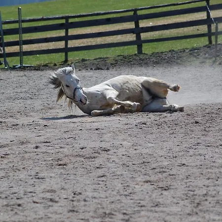 Luzenberg 3* Auffach