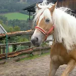 Luzenberg Auffach