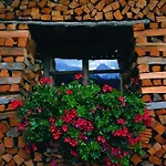 Luzenberg 3* Auffach